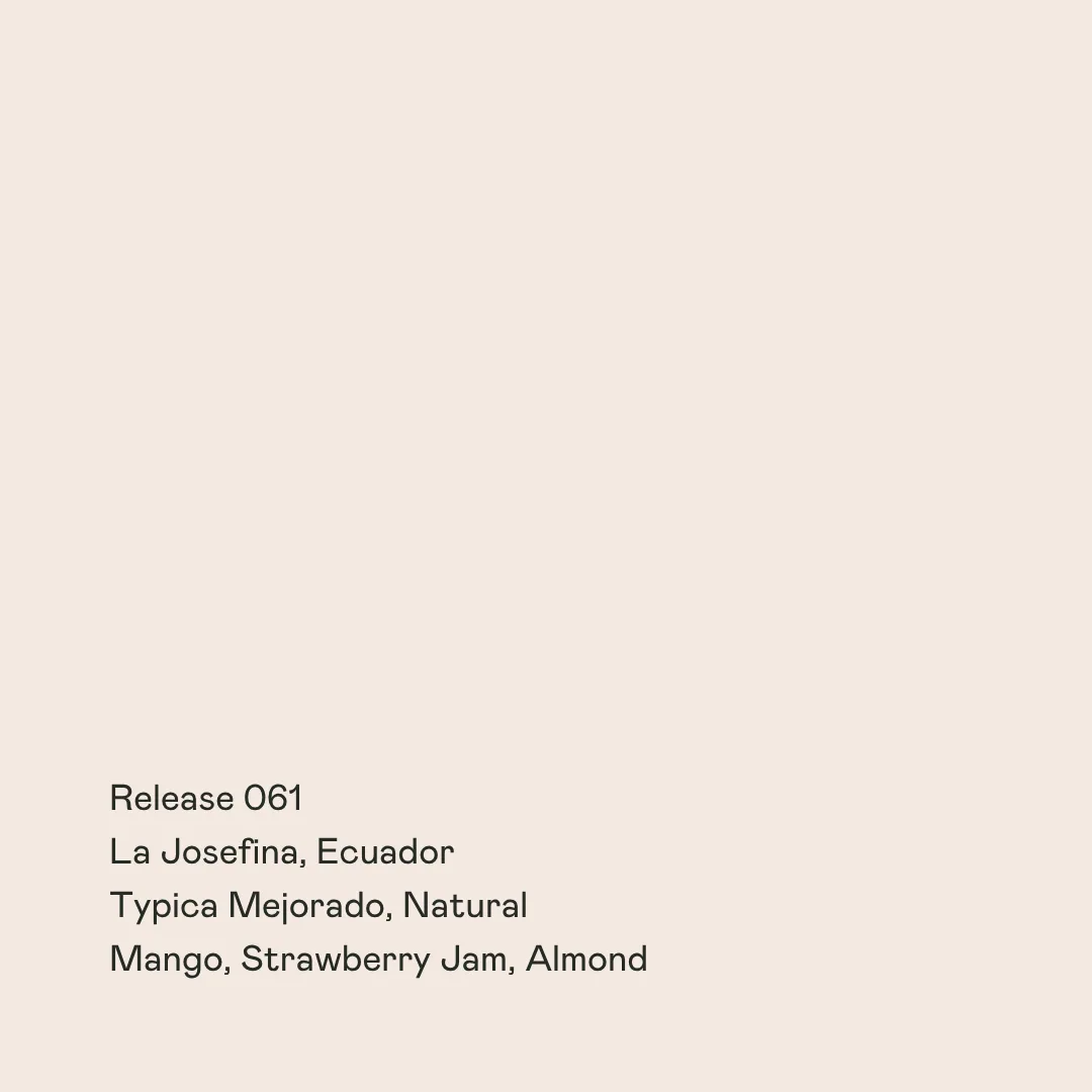 release 061 - la josefina, typica mejorado natural, ecuador coffee from special guests