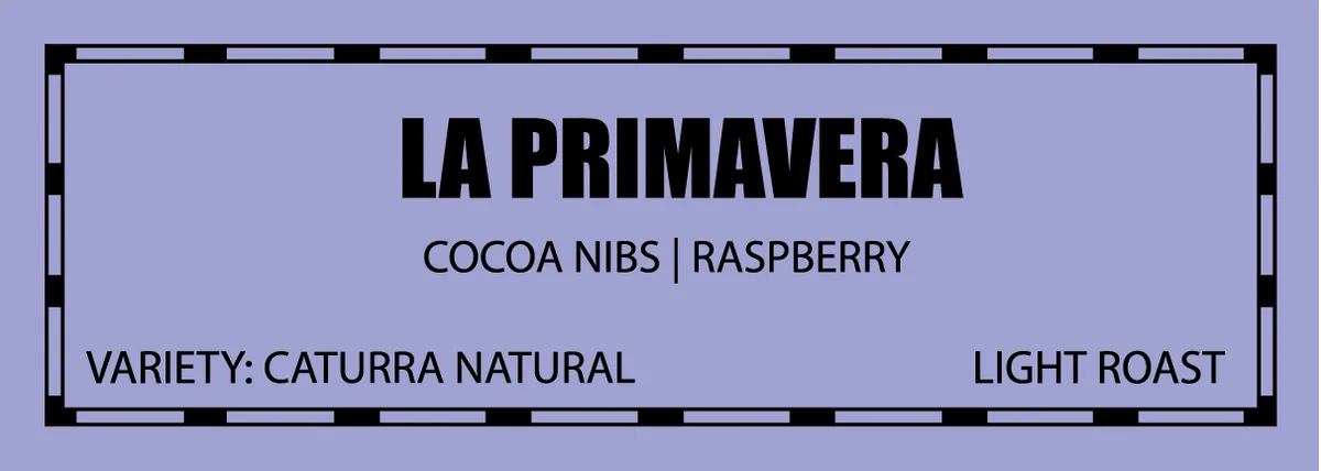 la primavera, single origin, colombia coffee from la mulita coffee