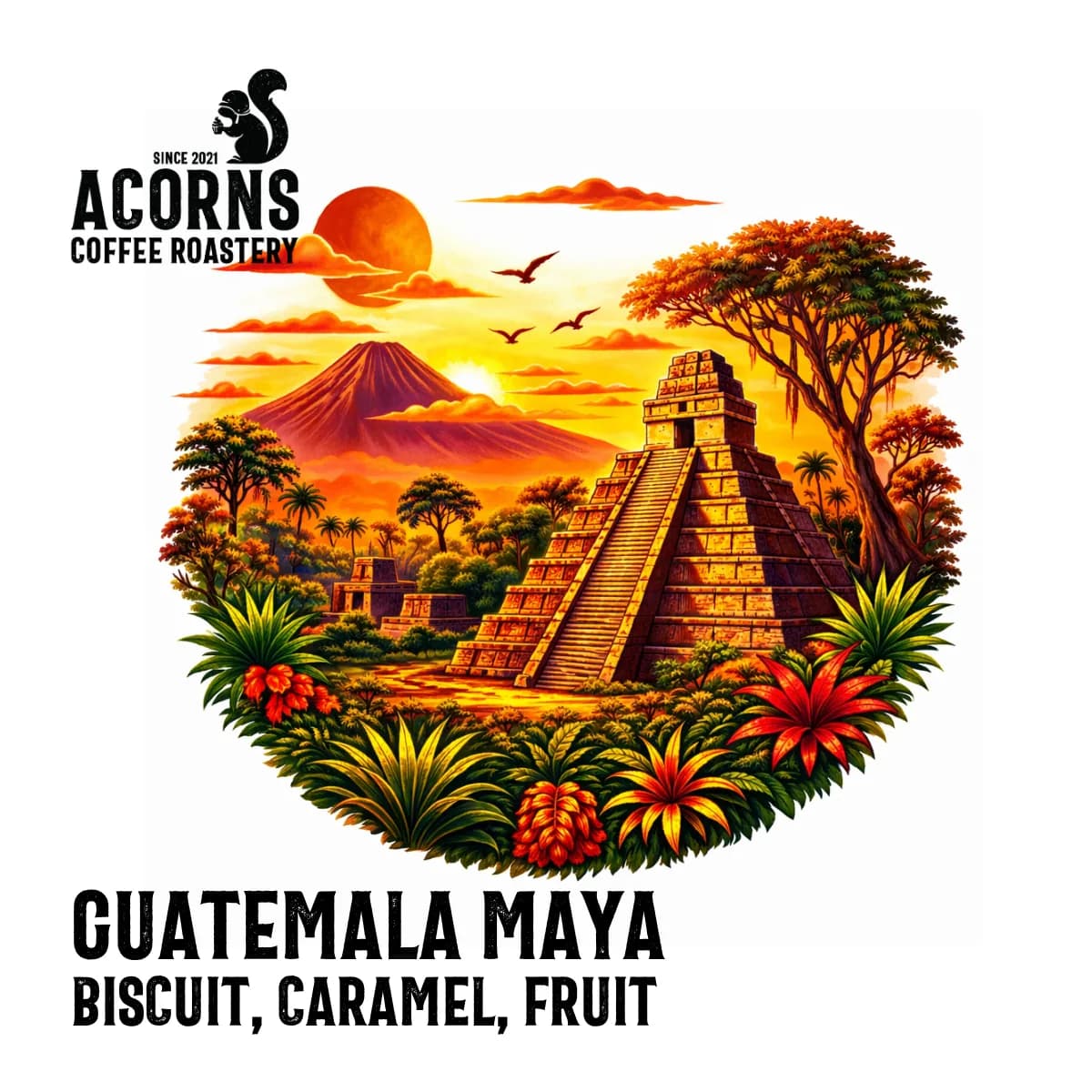 guatemala maya, guatemala coffee from acorns coffee and cake