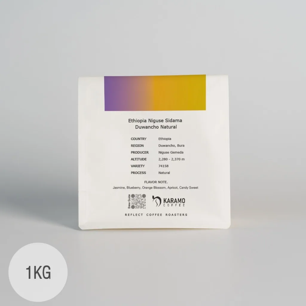 리플렉트커피 에티오피아 니구세 시다마 두완초 내추럴 1kg, ethiopia coffee from reflect coffee roasters