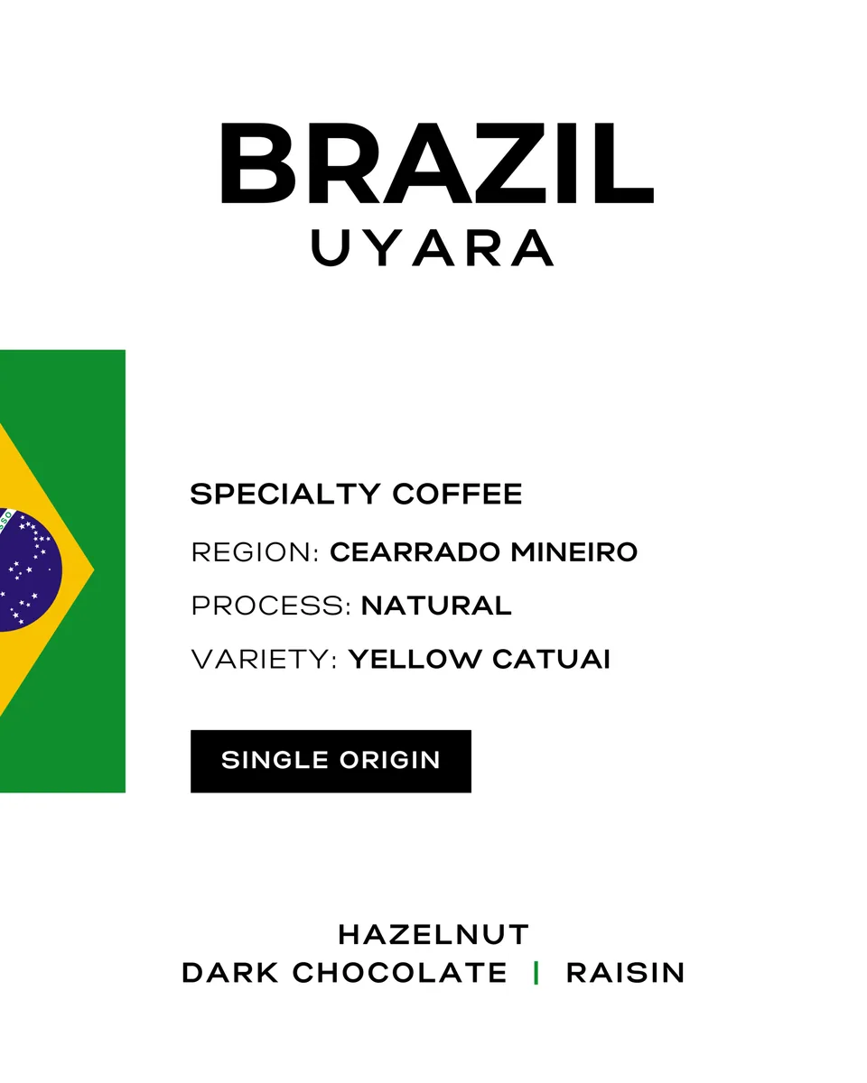 brazil uyara, brazil coffee from patio coffee roasters