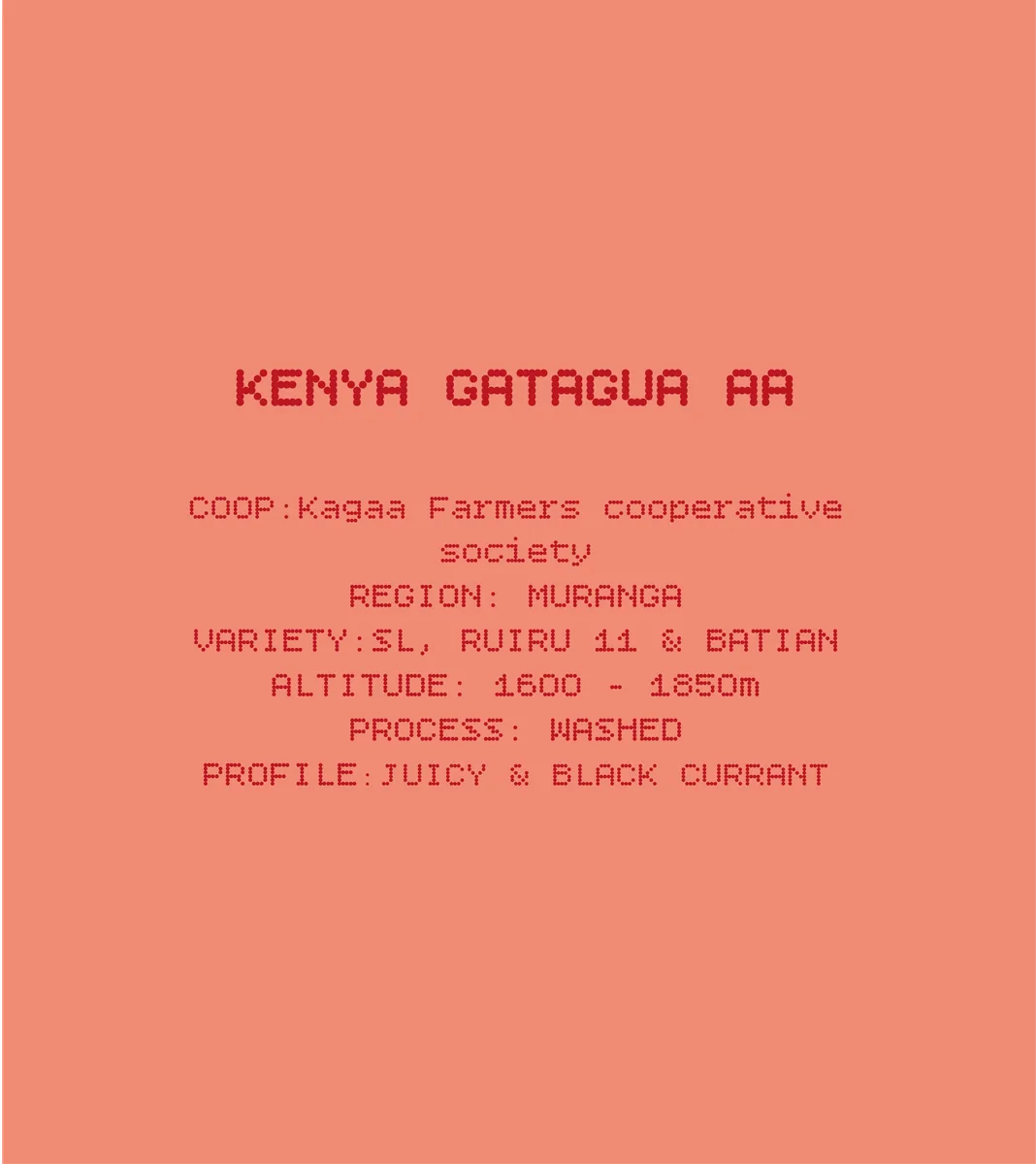 kenya gatagua aa, kenya coffee from solkant café & roastery