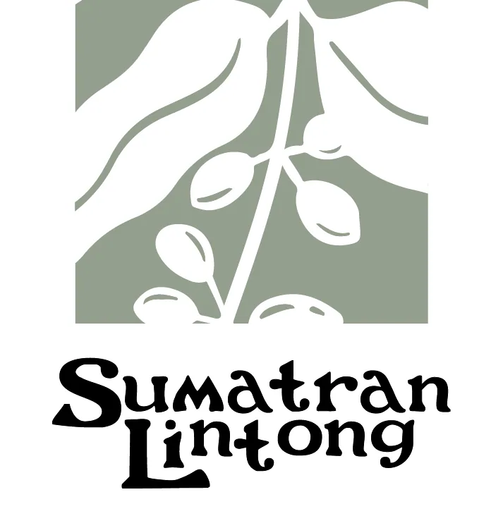 sumatran lintong (8oz), sumatra coffee from valkyrie coffee roasters