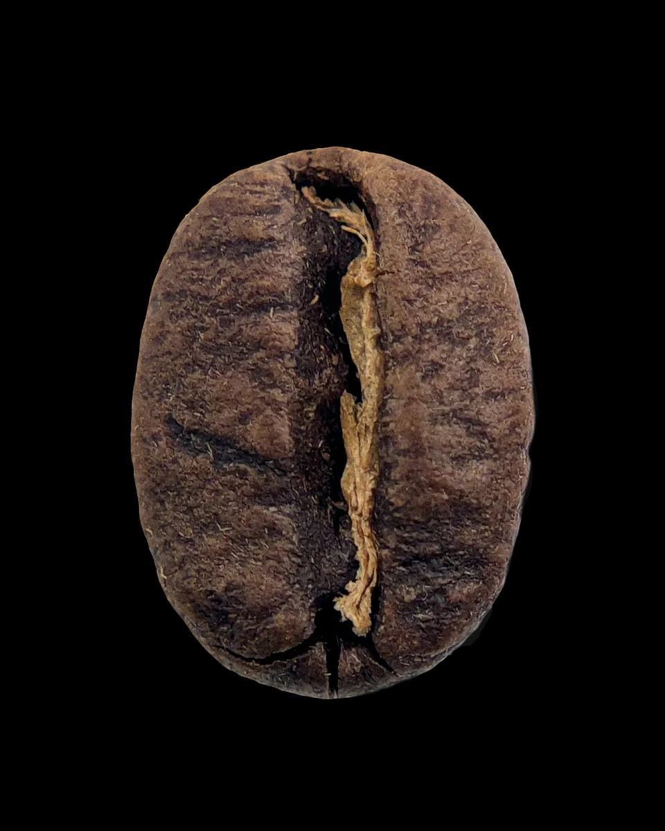 ethiopia, yirgacheffe, ethiopia coffee from herkimer coffee