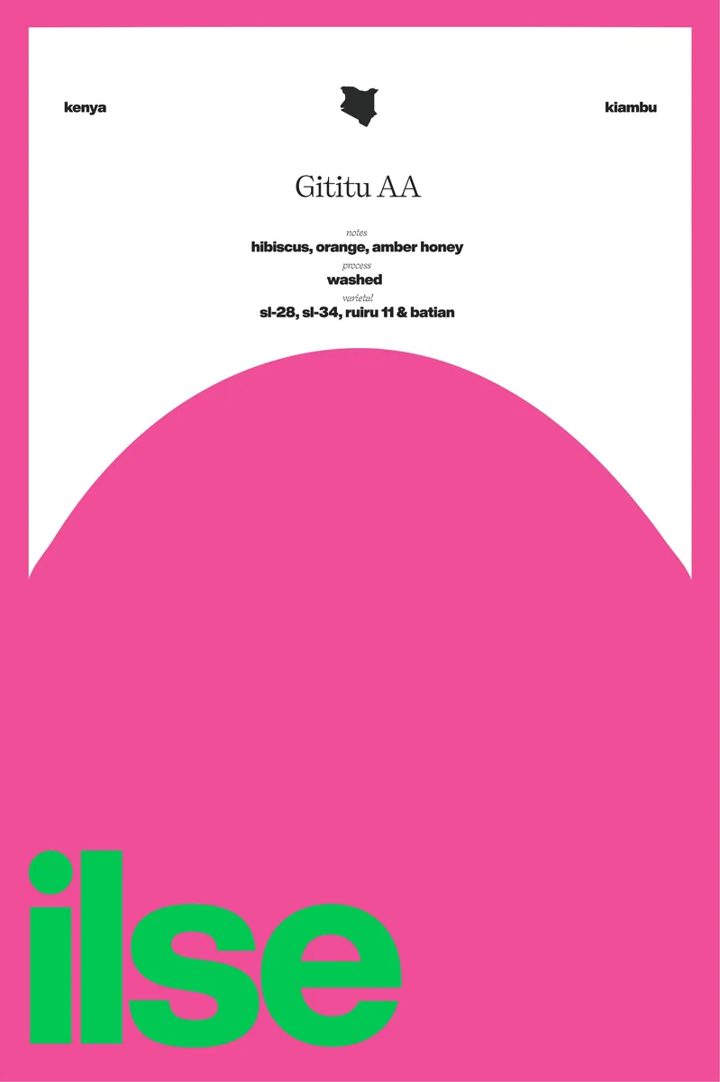 kenya | gititu aa, kenya coffee from ilse coffee