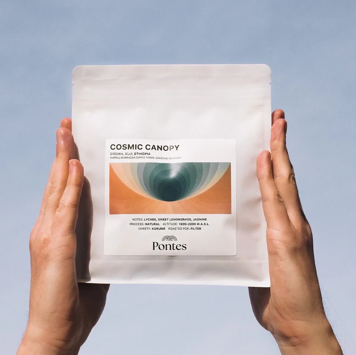 cosmic canopy, ethiopia coffee from pontes roastery & coffee bar