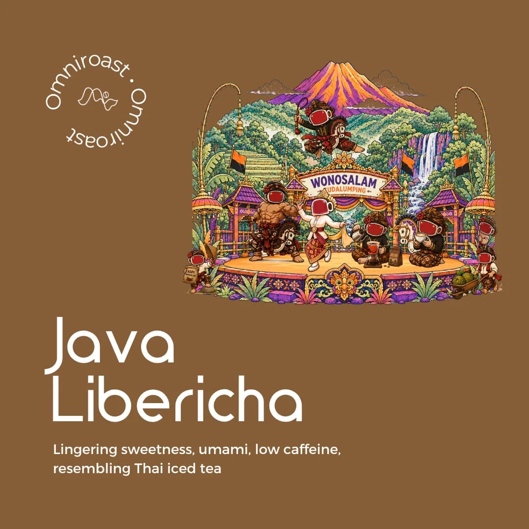 java libericha, indonesia coffee from meramanis coffee roaster