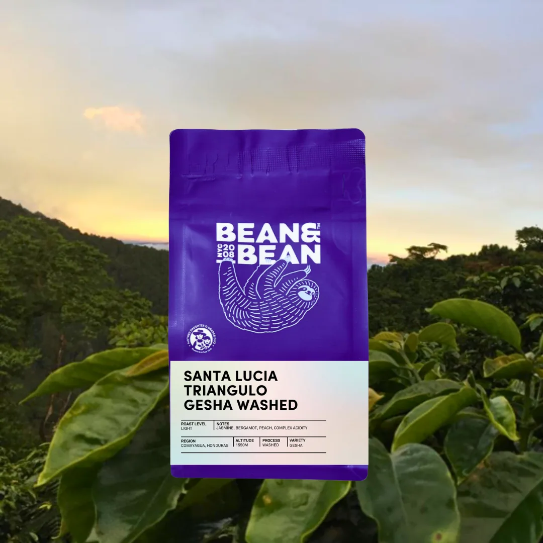 honduras santa lucia triangulo gesha washed, honduras coffee from bean & bean queens — roastery & cafe