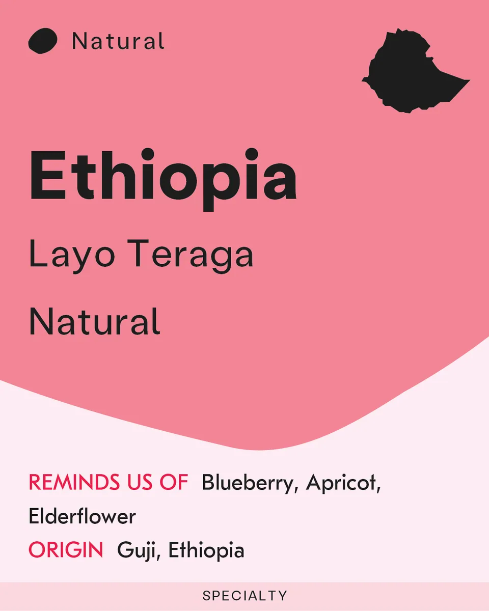 ethiopia, layo teraga, ethiopia coffee from sk coffee: coffee bar & roastery