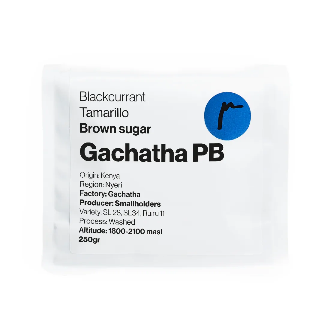 gachatha pb, kenya coffee from replica coffee