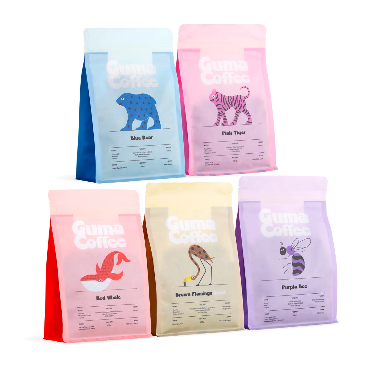 pack wild, colombia + costa rica coffee from bee love
