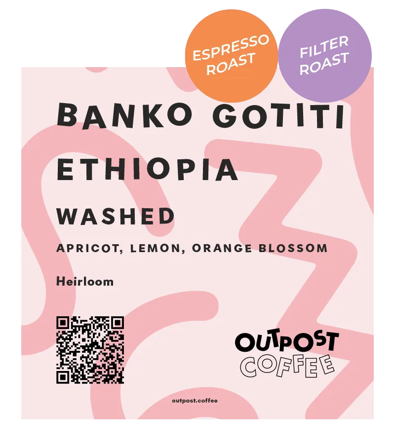 banko gotiti, washed, ethiopia, ethiopia coffee from outpost coffee roasters