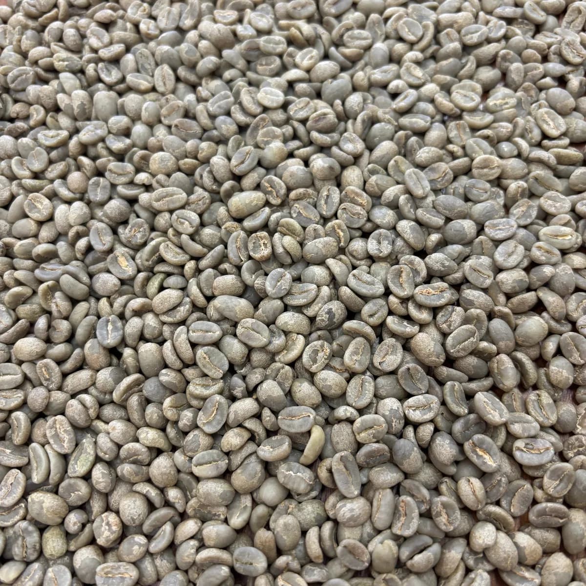 gitare ab, kenya coffee from prodigal