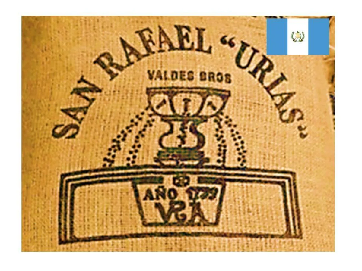 【guatemala】グアテマラ サンラファエル ウリアス農園 100g~, guatemala coffee from セイコードー・コーヒー