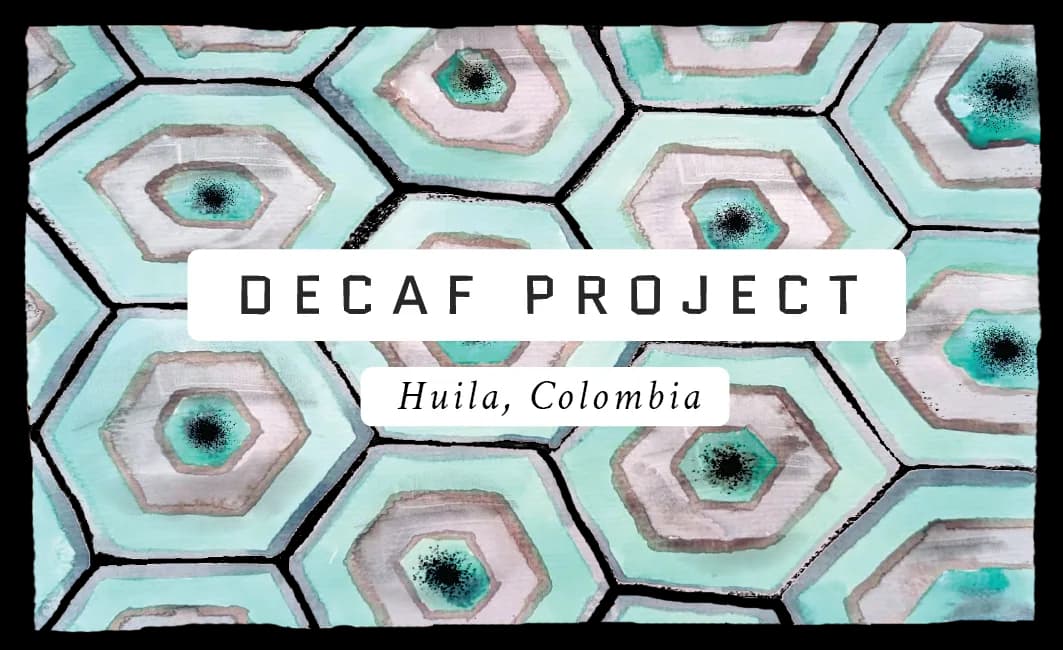 decaf project, colombia, colombia coffee from brighter coffee