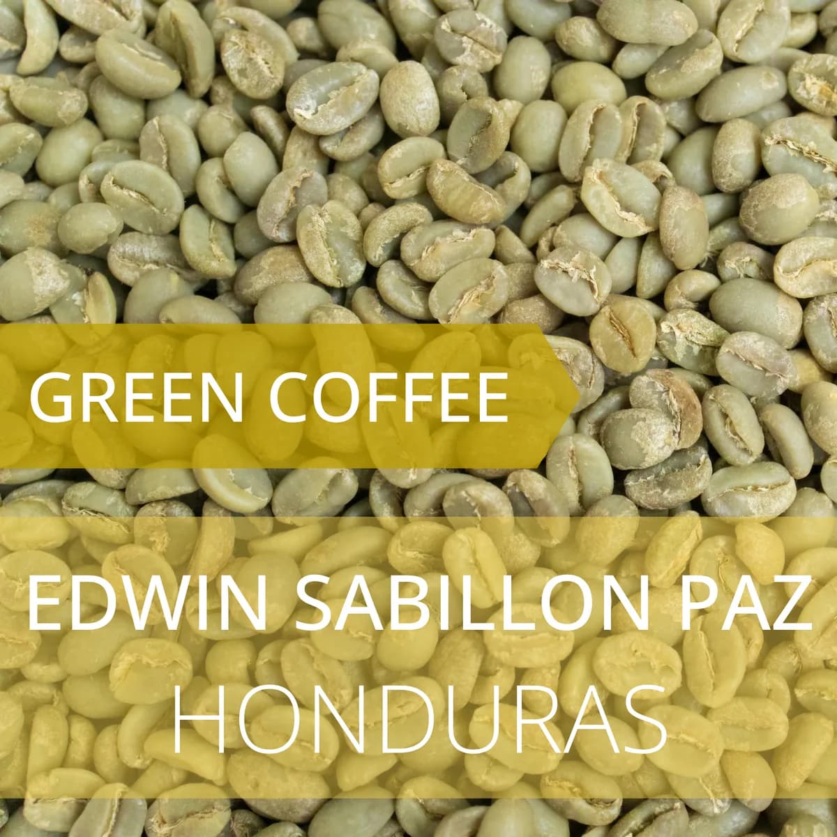edwin sabillon paz - honduras, honduras coffee from foundry coffee roasters