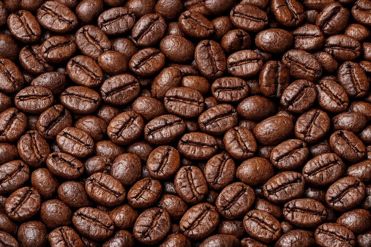 gayo natural roasted coffee beans, sumatra coffee from pt. indonesia specialty coffee