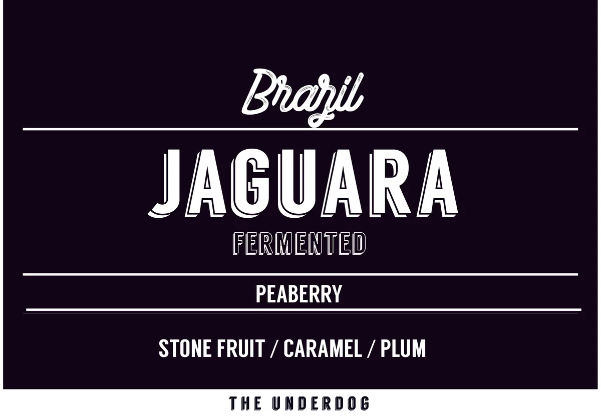 brazil, jaguara pb (72-80 hours), 200 g, brazil coffee from the underdog