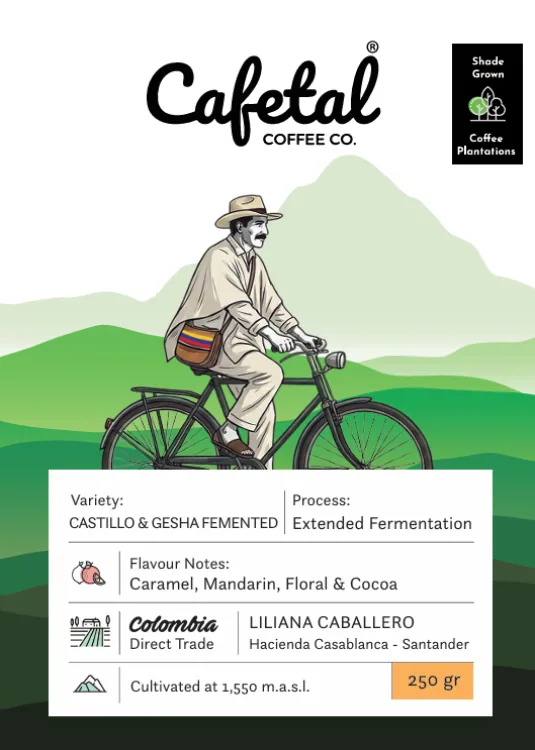 mountain blend - castillo & gesha fermented coffee beans, colombia coffee from cafetal coffee co.