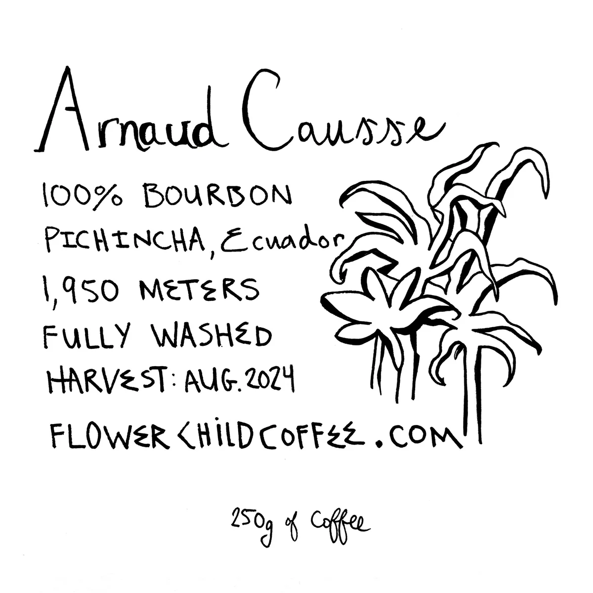 arnuad causse bourbon, ecuador + yemen coffee from flower child