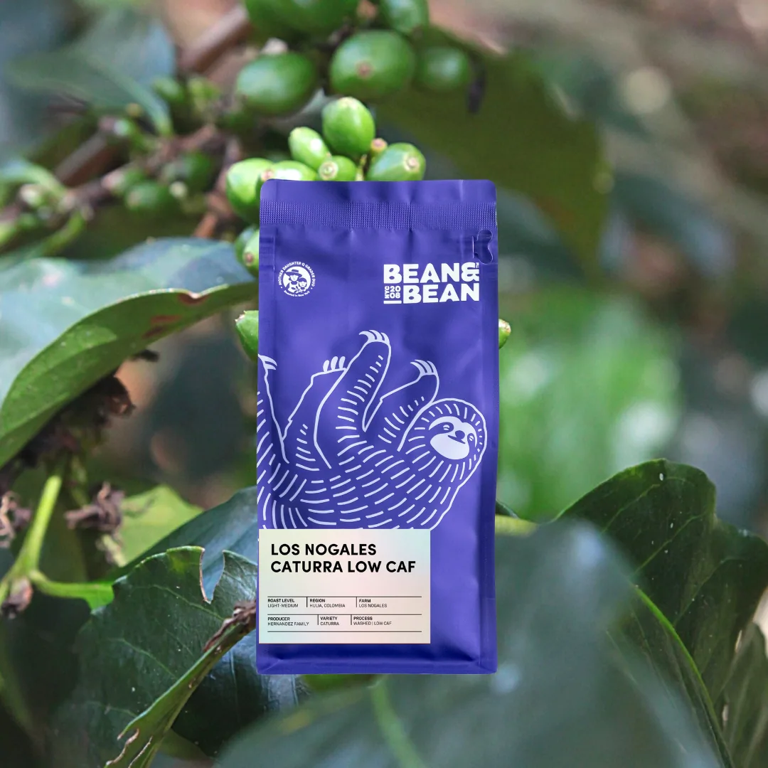 los nogales caturra low caf, colombia coffee from bean & bean queens — roastery & cafe
