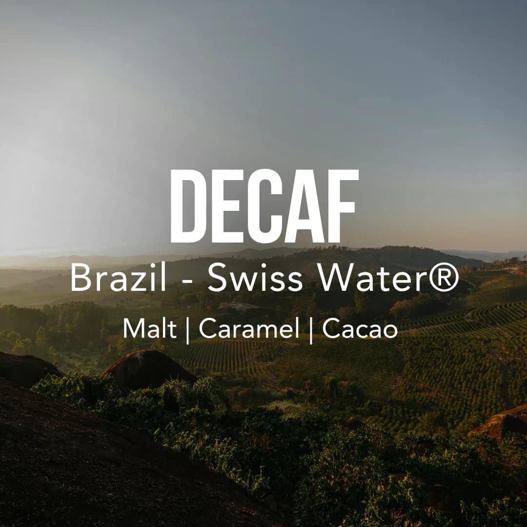 decaf, brazil coffee from excelso coffee
