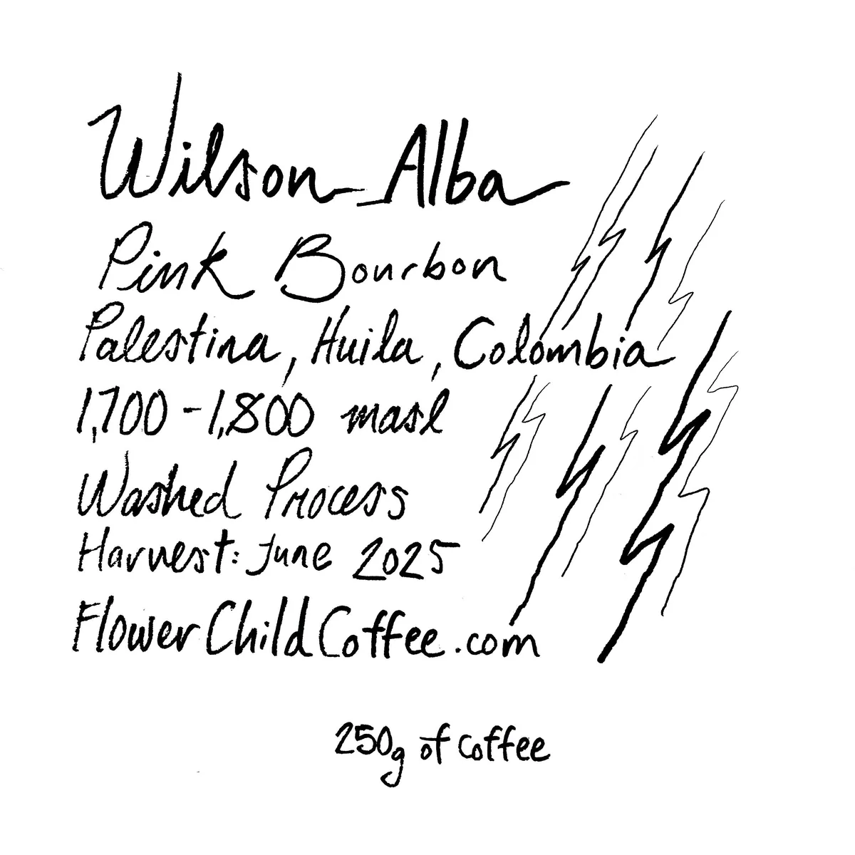wilson alba, colombia coffee from flower child