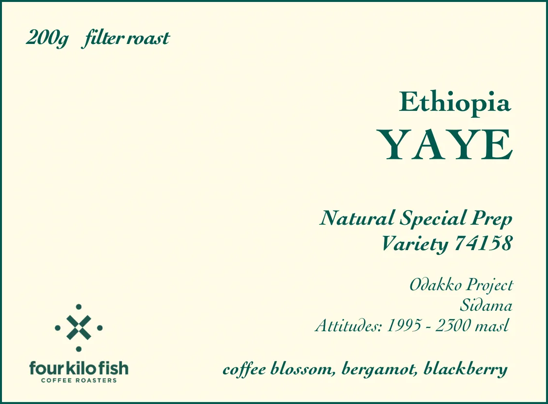 yaye | special prep natural | 74158 | sidama, ethiopia | filter | 200g, ethiopia coffee from four kilo fish coffee & tea