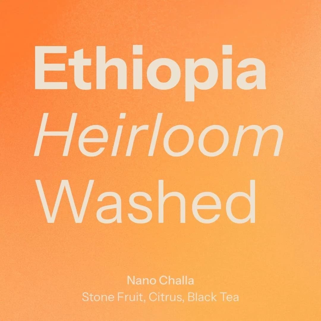 nano challa (ethiopia), ethiopia coffee from nostos coffee