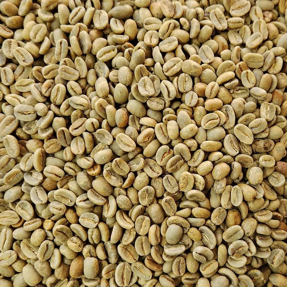 papua new guinea organic green coffee beans 1kg, papua new guinea coffee from chiasso coffee roasters