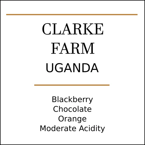 uganda clarke farm medium roast, uganda coffee from pebble and pine coffee