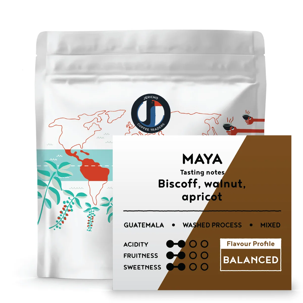 maya - guatemala, guatemala coffee from jericho coffee traders roastery