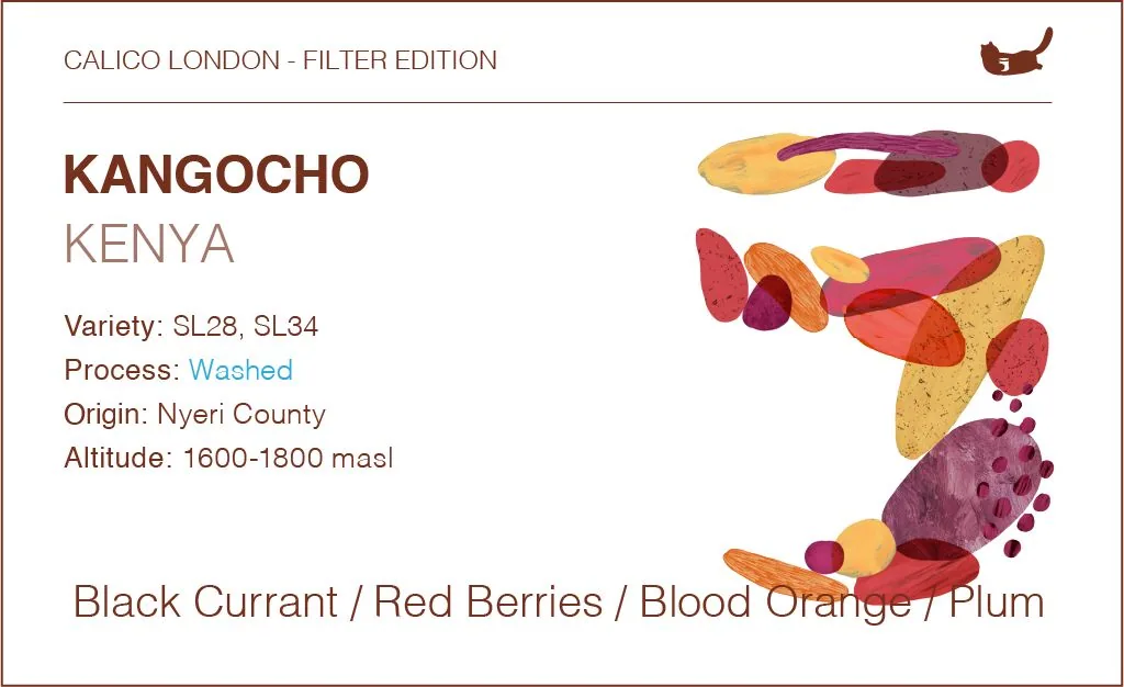kenya kongocho - traditional washed, kenya coffee from calico coffee