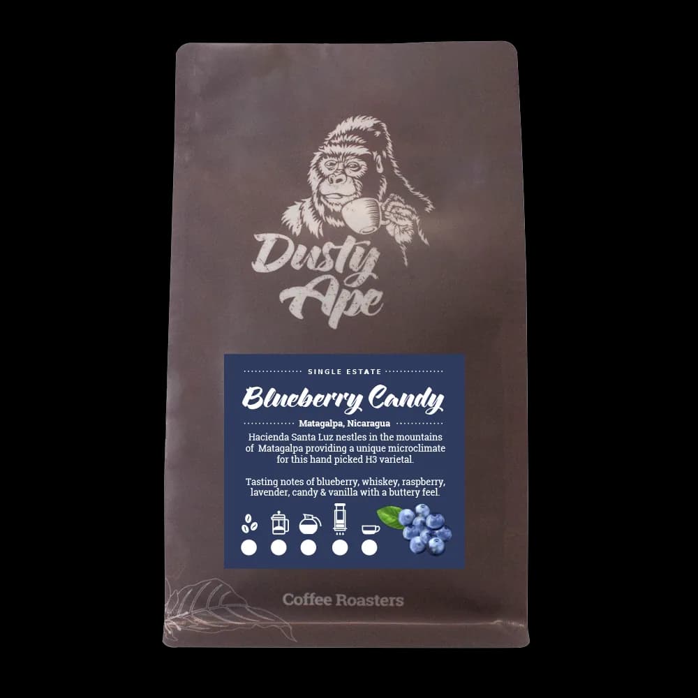 nicaragua blueberry candy, nicaragua coffee from dusty ape coffee roastery & coffee bar