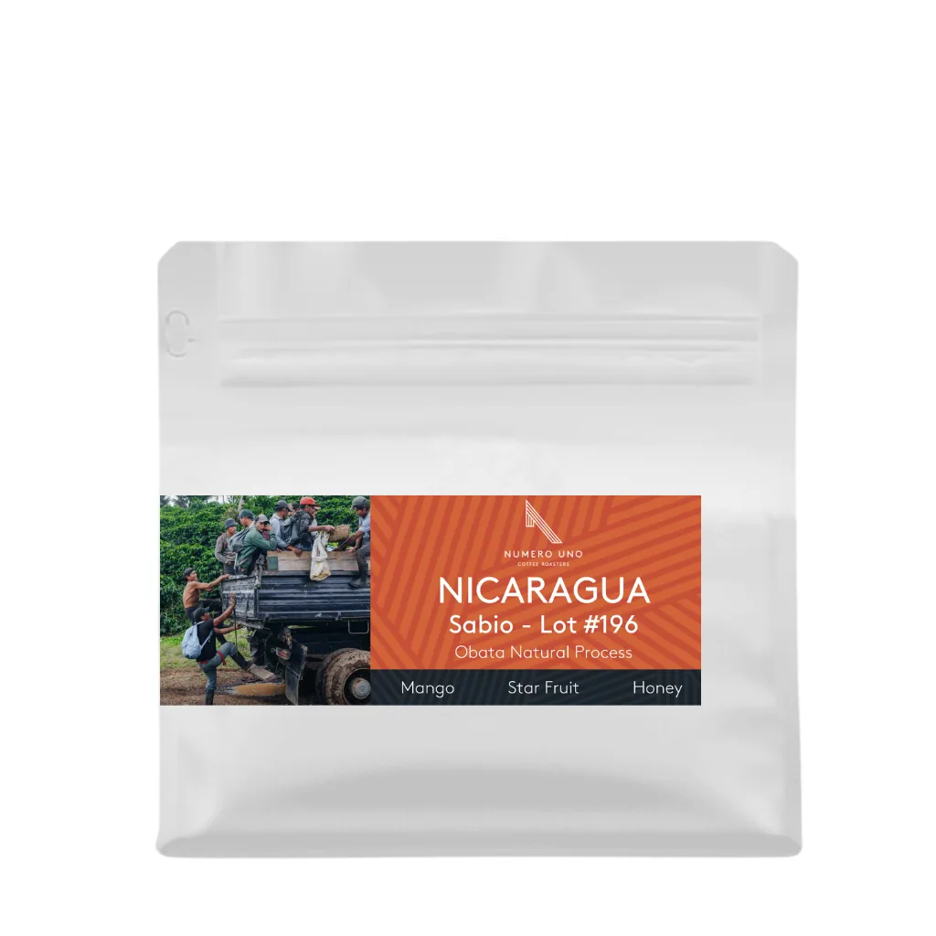 nicaragua, sabio coffee lot #196 (natural), nicaragua coffee from numero uno coffee roasters