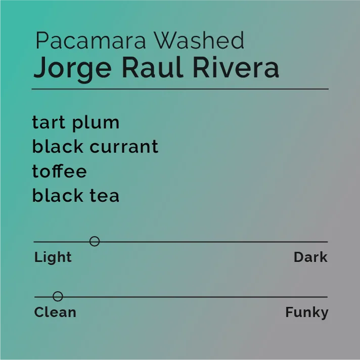 jorge raul rivera - pacamara washed, honduras + el salvador coffee from black & white coffee roasters