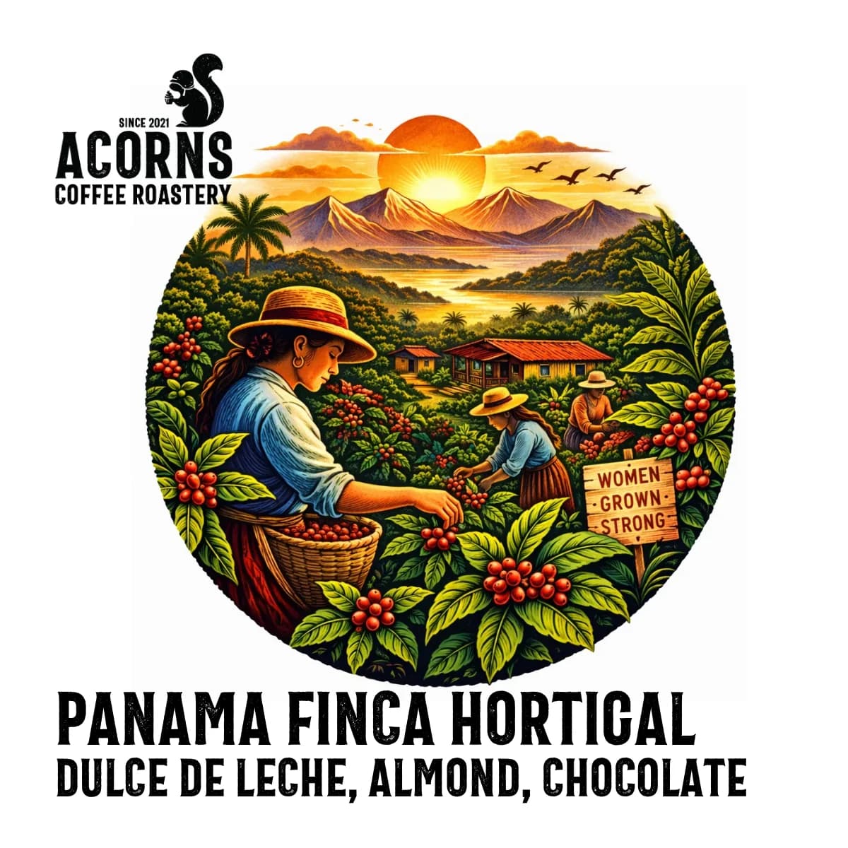 panama hortigal, panama coffee from acorns coffee and cake