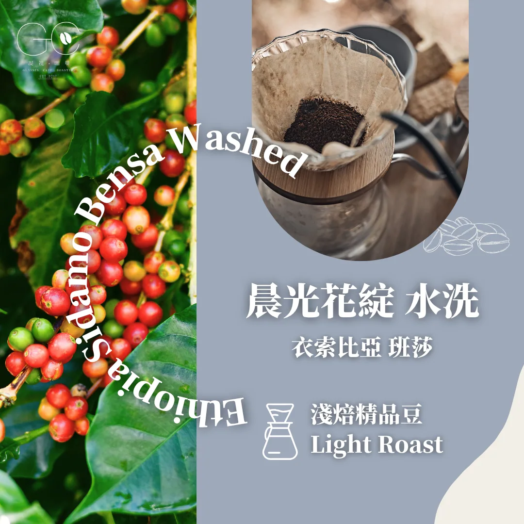 淺焙|衣索比亞 西達馬 班莎 晨光花綻 水洗 ethiopia sidamo bensa 74110 & 74112 washed, ethiopia coffee from gazecafe
