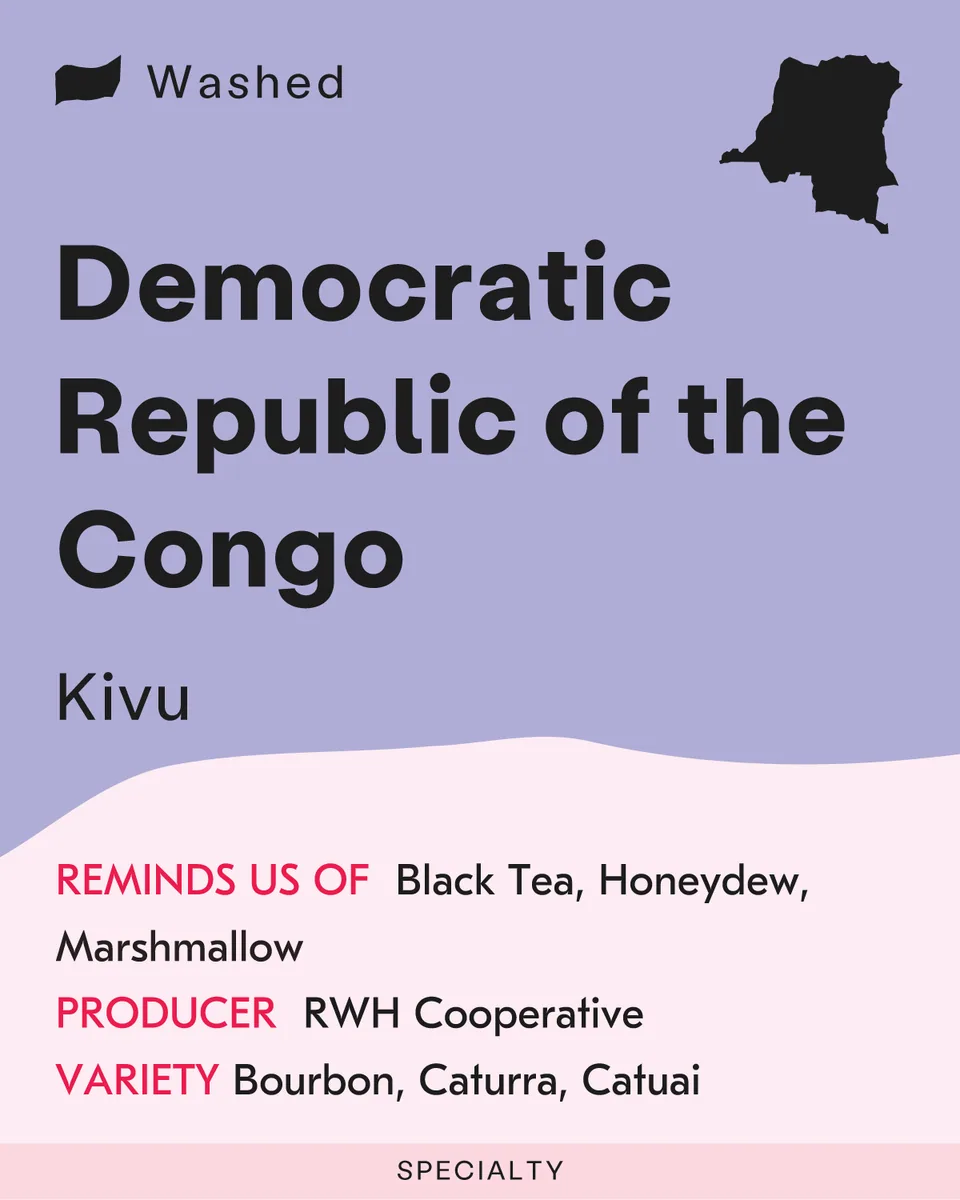 democratic republic of the congo, kivu, rwanda + burundi + uganda coffee from sk coffee: coffee bar & roastery