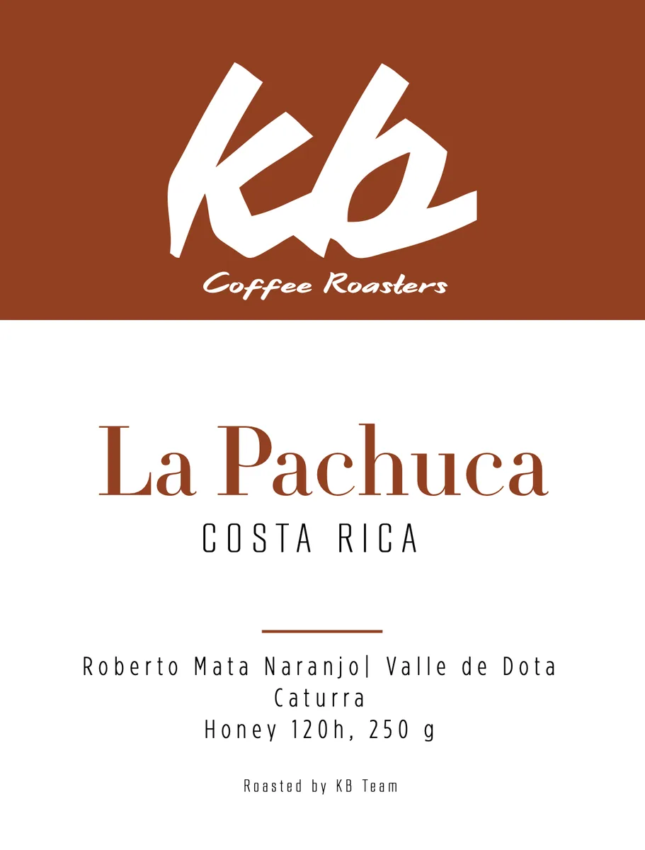 costa rica - la pachuca, costa rica coffee from kb coffee roasters