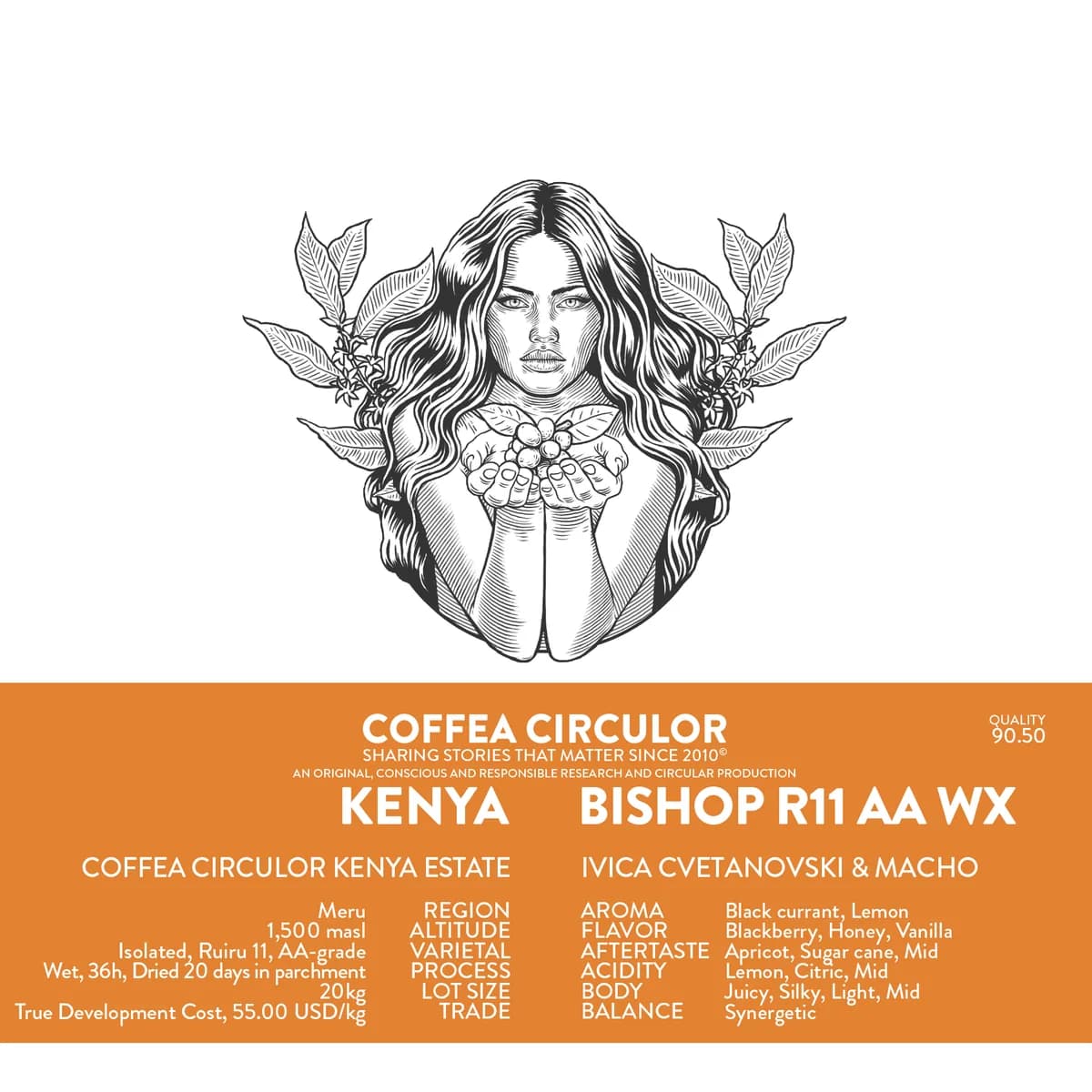 kenya coffea circulor bishop isolated ruiru 11 aa washed wx, kenya coffee from coffea circulor
