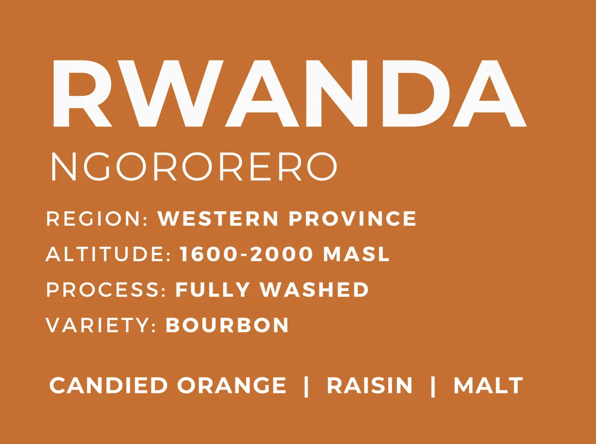 rwanda ngororero, rwanda coffee from patio coffee roasters