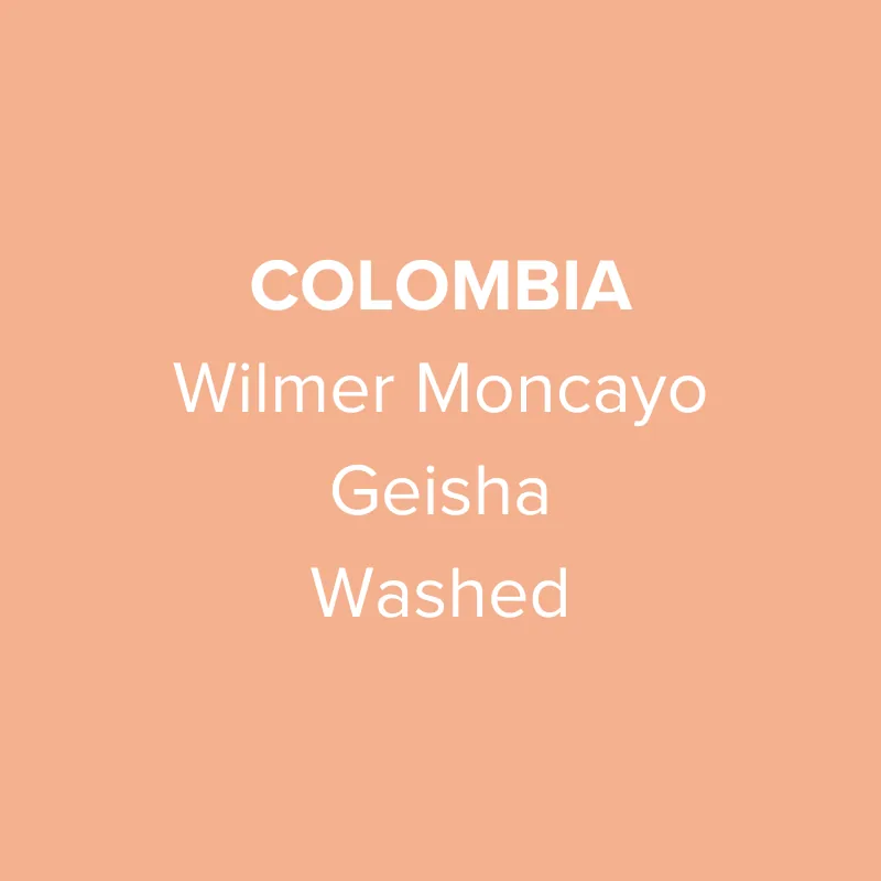 colombia wilmer moncayo geisha washed, colombia coffee from oma coffee roaster