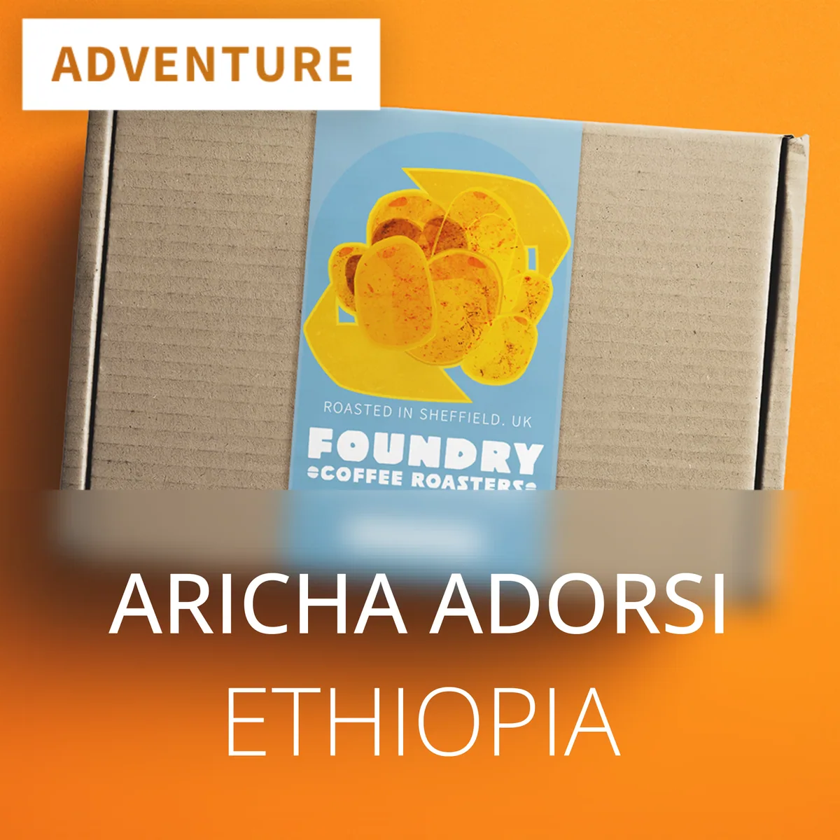 aricha adorsi - ethiopia, ethiopia coffee from foundry coffee roasters