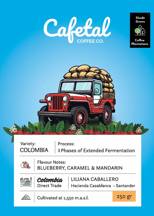 colombia triple fermented coffee beans, colombia coffee from cafetal coffee co.