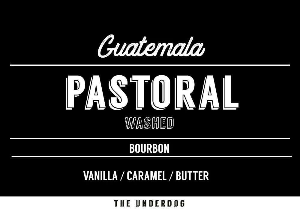 guatemala, pastoral, 200 g, guatemala coffee from the underdog