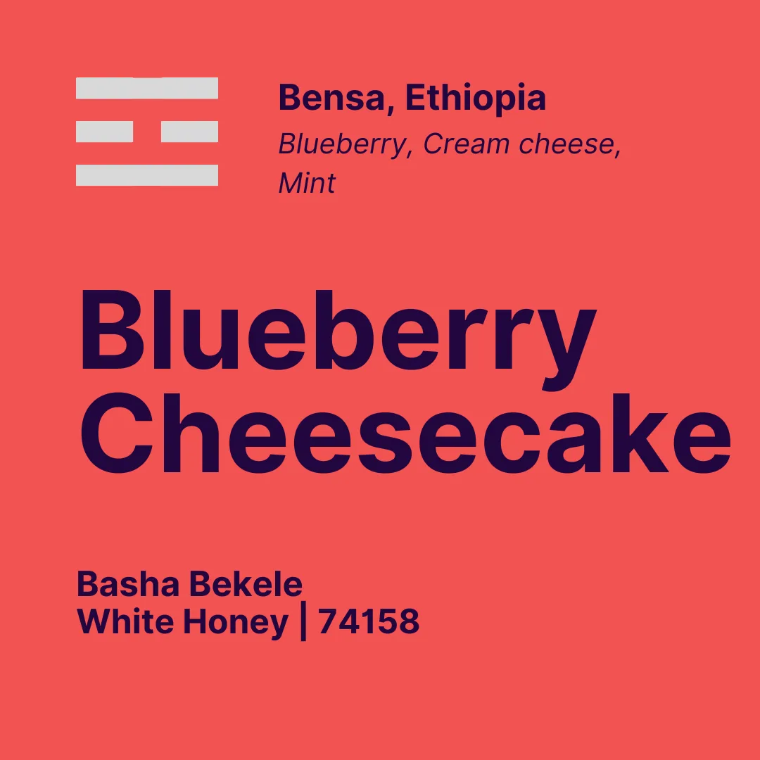 blueberry cheesecake, ethiopia coffee from café jindo