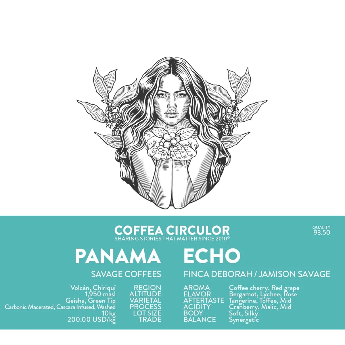 panama savage coffees finca deborah echo geisha carbonic macerated cascara infused washed, panama coffee from coffea circulor