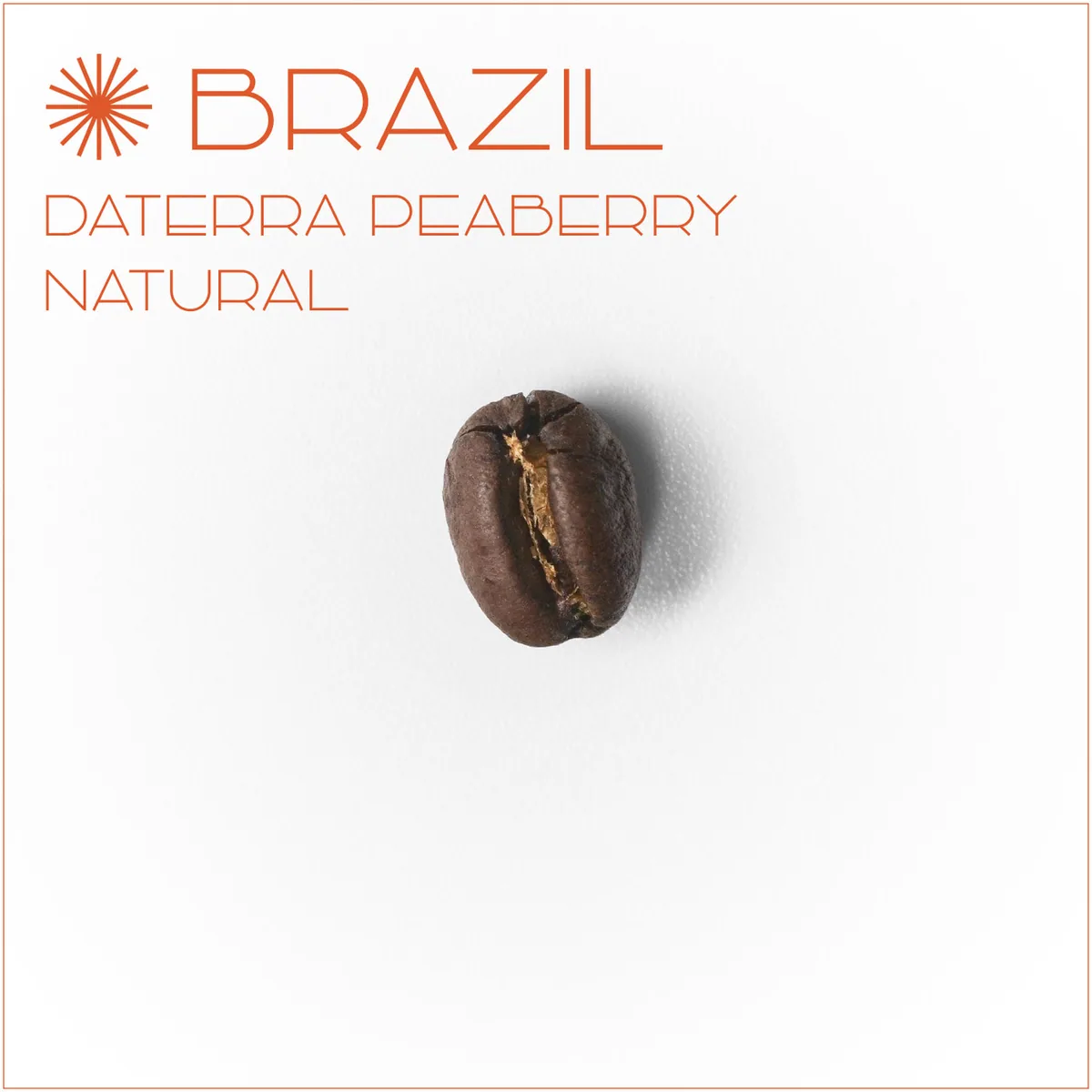브라질 다테하 피베리 내추럴, brazil coffee from el cafe coffee roasters
