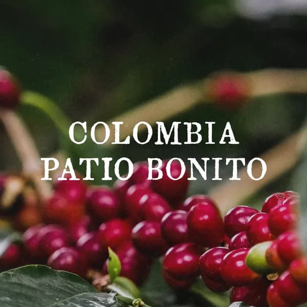 colombia patio bonito (natural), colombia coffee from case study coffee roasters